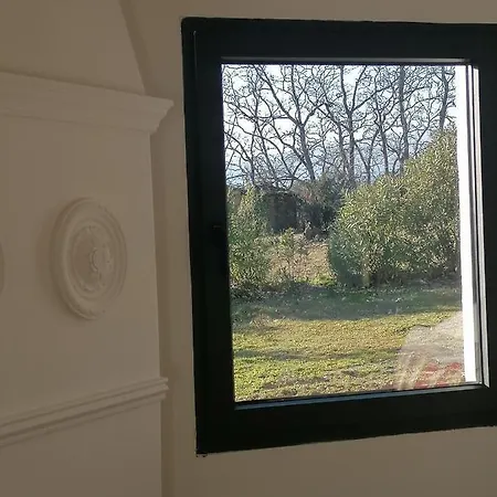 Nidos De Valfrio Tr-cc-00548